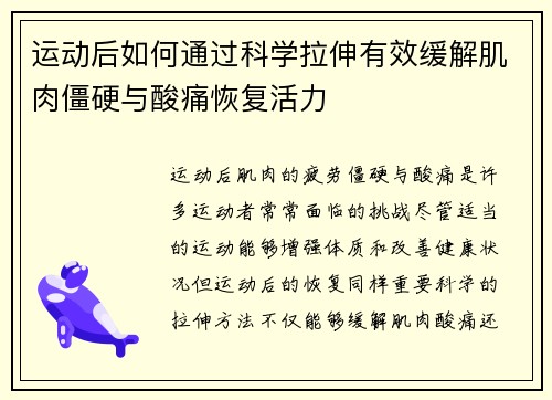 运动后如何通过科学拉伸有效缓解肌肉僵硬与酸痛恢复活力